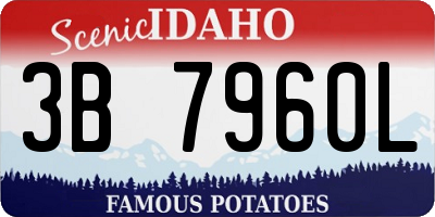 ID license plate 3B7960L