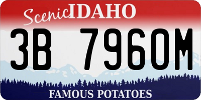 ID license plate 3B7960M