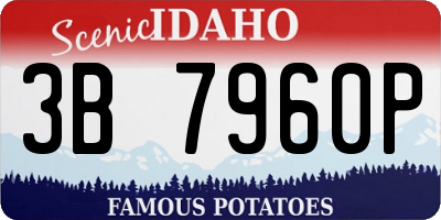 ID license plate 3B7960P