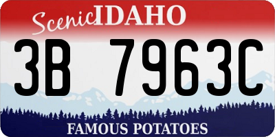 ID license plate 3B7963C