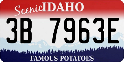 ID license plate 3B7963E