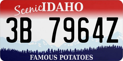 ID license plate 3B7964Z