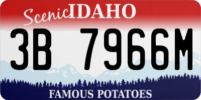 ID license plate 3B7966M