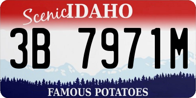 ID license plate 3B7971M