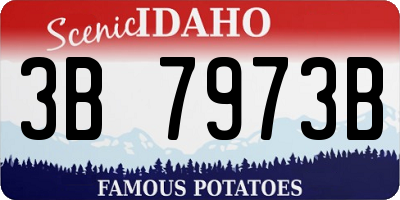 ID license plate 3B7973B