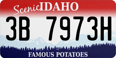 ID license plate 3B7973H