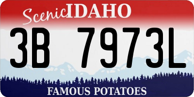 ID license plate 3B7973L