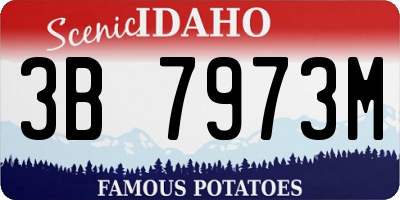 ID license plate 3B7973M