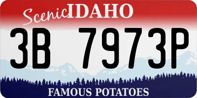 ID license plate 3B7973P