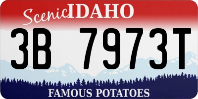 ID license plate 3B7973T