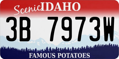 ID license plate 3B7973W