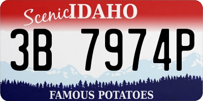 ID license plate 3B7974P