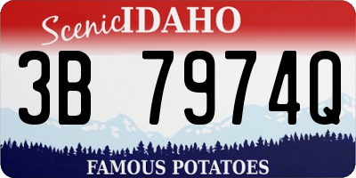 ID license plate 3B7974Q
