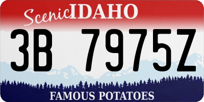 ID license plate 3B7975Z
