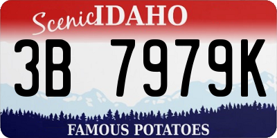 ID license plate 3B7979K