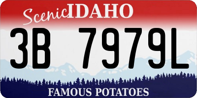 ID license plate 3B7979L