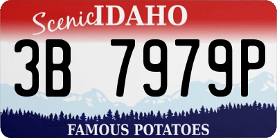 ID license plate 3B7979P