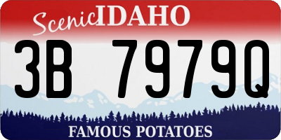 ID license plate 3B7979Q