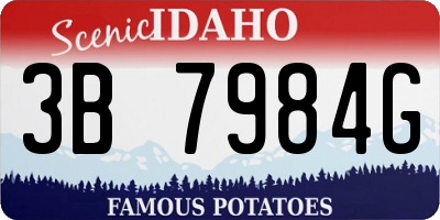 ID license plate 3B7984G