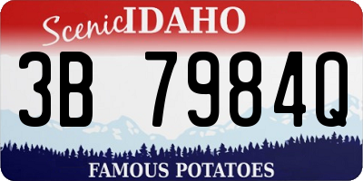 ID license plate 3B7984Q