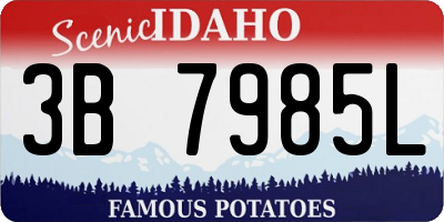 ID license plate 3B7985L