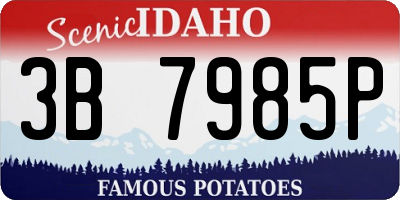 ID license plate 3B7985P