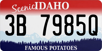 ID license plate 3B7985Q