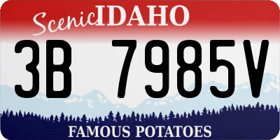 ID license plate 3B7985V