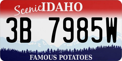ID license plate 3B7985W