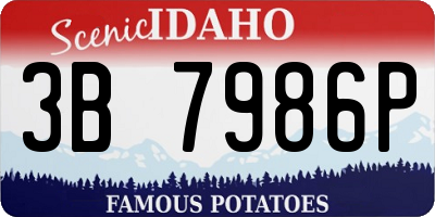 ID license plate 3B7986P