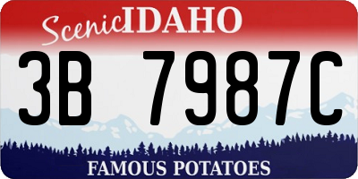 ID license plate 3B7987C