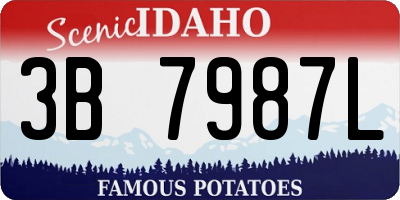 ID license plate 3B7987L