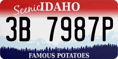 ID license plate 3B7987P