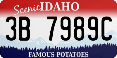 ID license plate 3B7989C