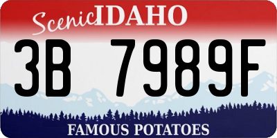 ID license plate 3B7989F