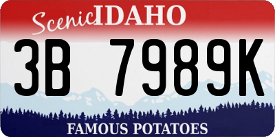 ID license plate 3B7989K