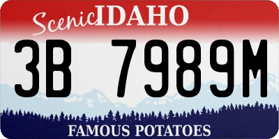 ID license plate 3B7989M