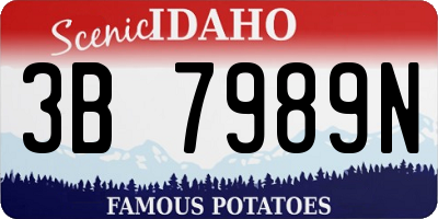 ID license plate 3B7989N