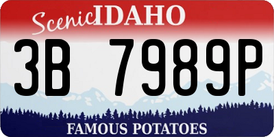 ID license plate 3B7989P