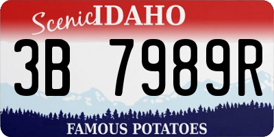 ID license plate 3B7989R