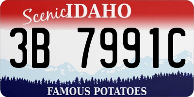 ID license plate 3B7991C