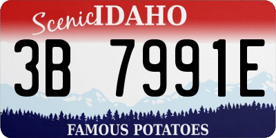 ID license plate 3B7991E