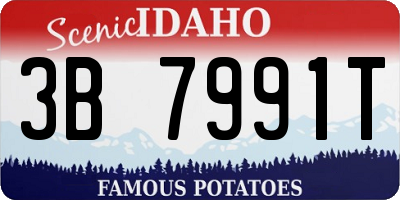 ID license plate 3B7991T