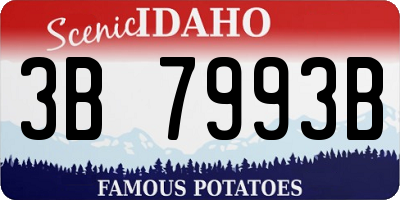 ID license plate 3B7993B
