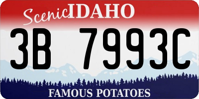 ID license plate 3B7993C