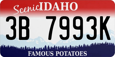 ID license plate 3B7993K