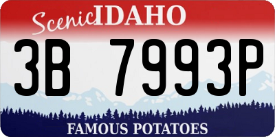 ID license plate 3B7993P