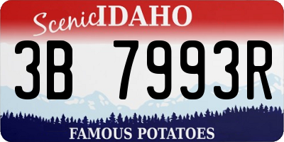 ID license plate 3B7993R