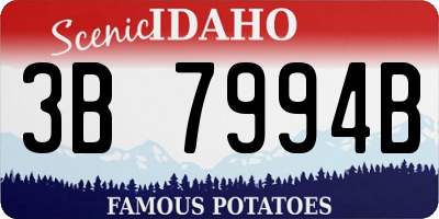 ID license plate 3B7994B