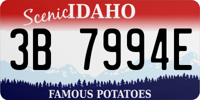 ID license plate 3B7994E
